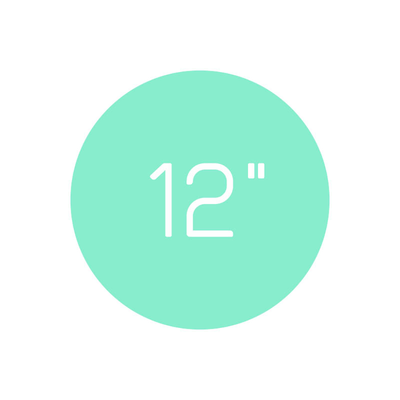 winyl 12-cali